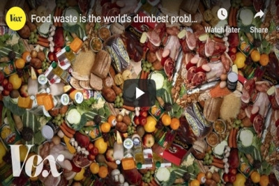 Business and household food waste